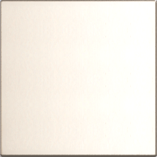 mirrored steel finish